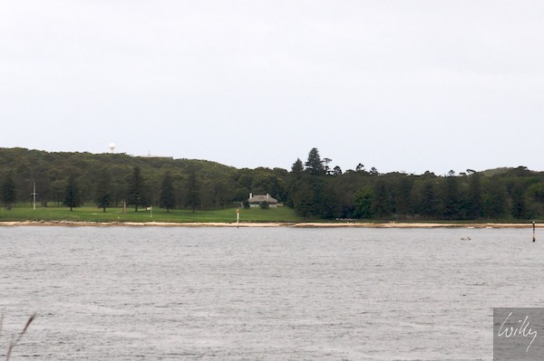 AustraliaEast 10  097